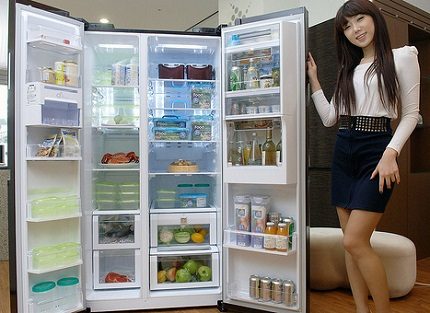 Refrigeradores de várias câmaras para uma família numerosa