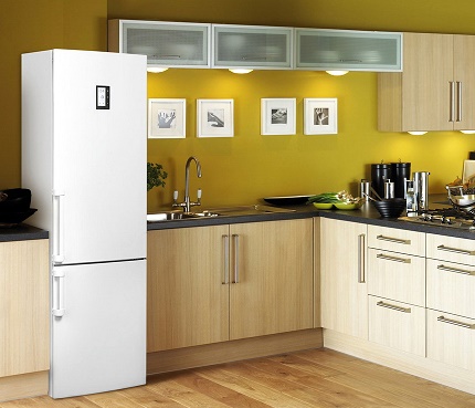 Réfrigérateur avec congélateur en dessous Réfrigérateur avec congélateur en bas