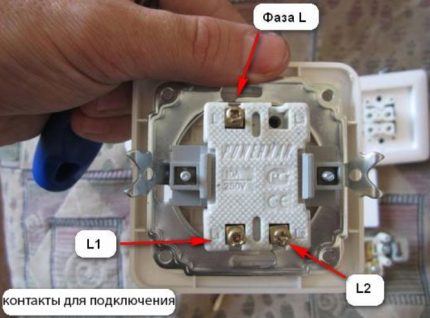 Marquage disjoncteur