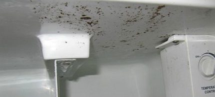 Moisissure au réfrigérateur