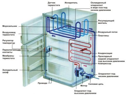 L'appareil du réfrigérateur Stinol Diagramme du réfrigérateur évaporatif