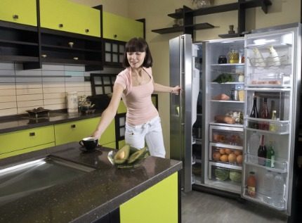 Westfrost Refrigerator Care