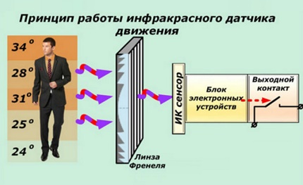 Capteur de mouvement IR Capteur de mouvement IR