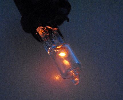 Kapsül halojen lamba G4