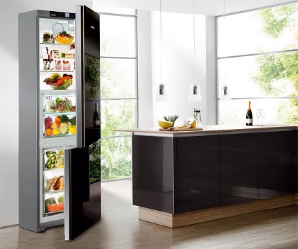 Modèle de réfrigérateur à double chambre Modèle d'unité de réfrigération à deux chambres