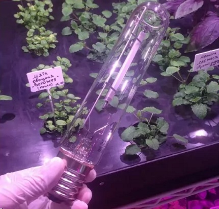 Lâmpada de iodetos metálicos de sódio Lâmpada de iodetos metálicos de sódio