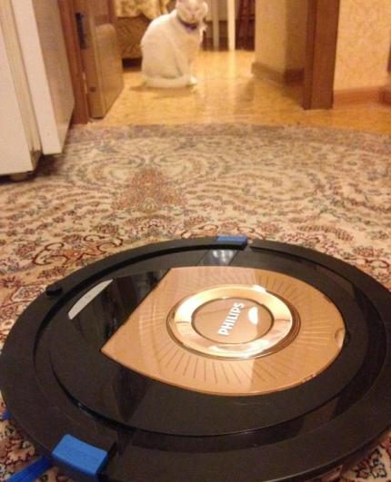 L'appareil fera face au nettoyage du revêtement avec un poil bas Nettoyage des sols dans l'appartement