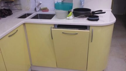 Location of the Hansa ZIM 476 H Series Built-in Dishwasher Door Hansa746