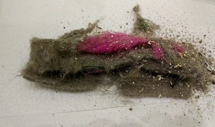 Aspirador de pó Robótico Aspirador Lixo de Iclebo Omega