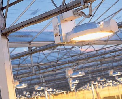 Sodium lamp lighting