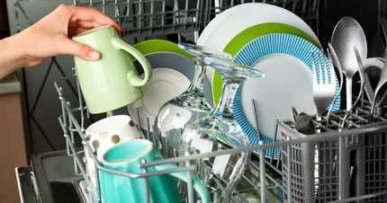 La chambre de travail du lave-vaisselle