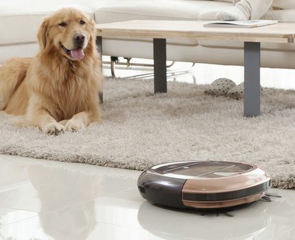 Robot du célèbre fabricant iCLEBO Modèle de nettoyant de marque ICLEBO