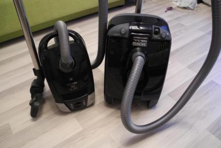  Panthère deux fois plus grande que Miele