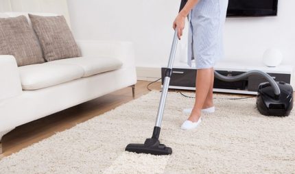 Zelmer brand washing vacuum cleaner in action Washing vacuum cleaner