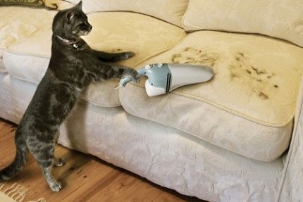 Nettoyage de la laine du canapé