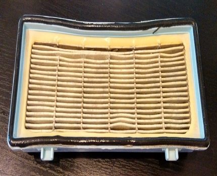 Many HEPA filters can be washed HEPA filter