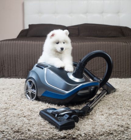 Quiet model of vacuum from Video Midea carpet cleaner with pile