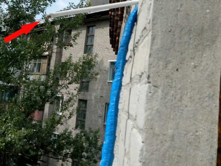 Insects in drainage cable