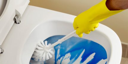 Nettoyage des toilettes de la plaque Nettoyage des toilettes