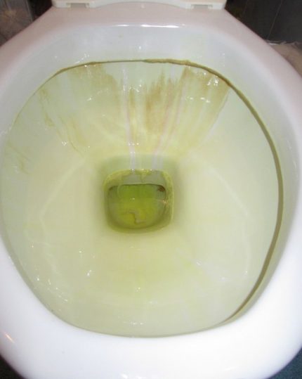 Plaque jaune dans les toilettes Calcaire