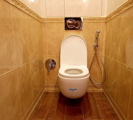 Ankastre hijyen duşu