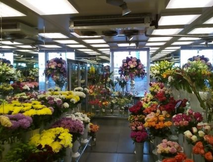 Refrigeration equipment in a flower shop Medium temperature split system