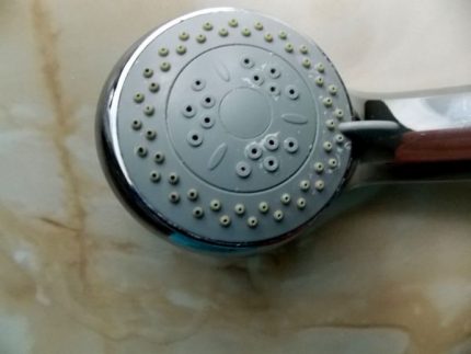 Shower head Possibility to repair a shower head