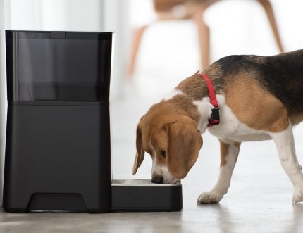 Chargeur intelligent