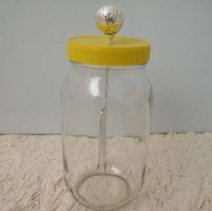 The device for checking the operation of the ionizer