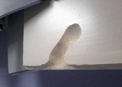 Les souris rongent l'EPS