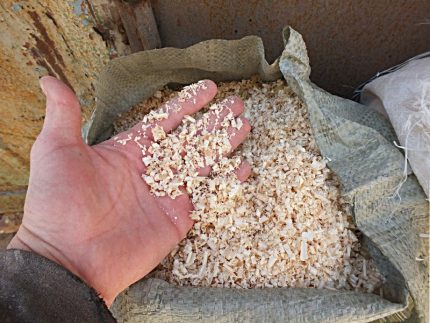 Sciure et copeaux dans la paume de votre main