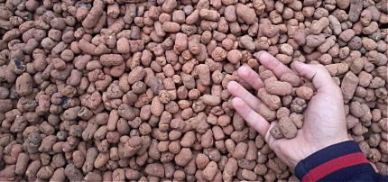 Isolant en vrac argile expansée