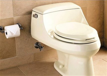 Large floor toilet