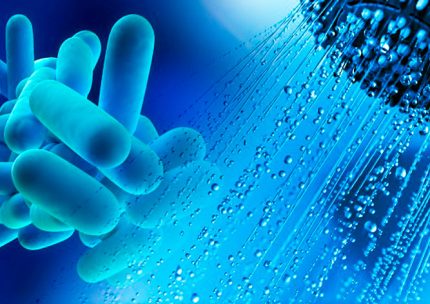 Bactéries dans l'eau de la douche Bactéries dans l'eau de la douche