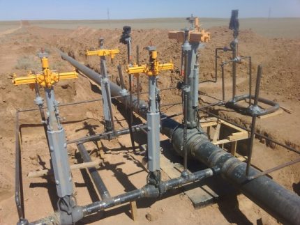 Gazéification des organisations