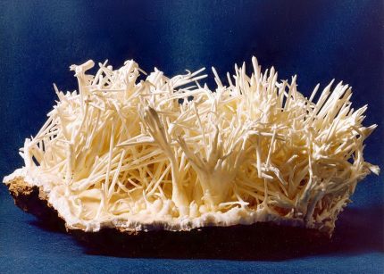 Cristaux d'aragonite