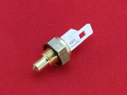 Temperatursensor vom Kabel getrennt