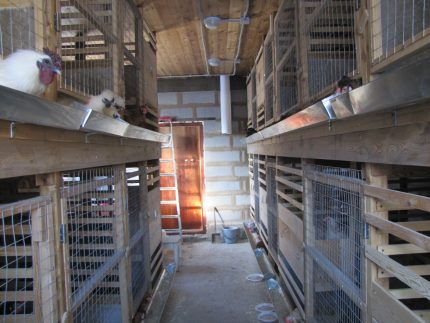 Tunnel ventilation Tunnel ventilation