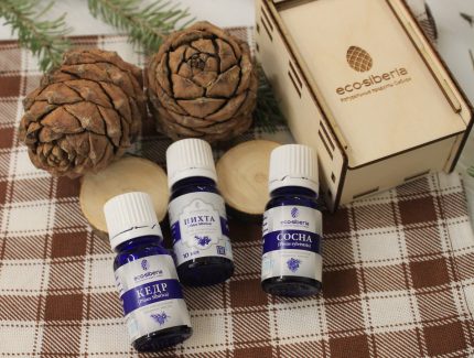 Huiles essentielles de conifères