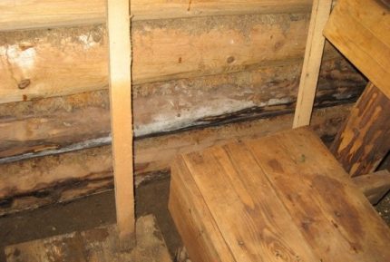 Les conséquences de l'engorgement dans le hammam