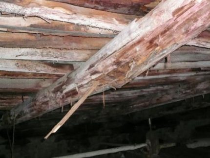 Consequences of moisture accumulation