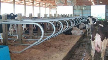 Ventilation mixte dans la grange Ventilation mixte dans la grange