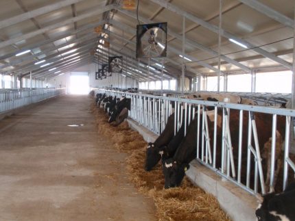 Barn Booster Barn Booster