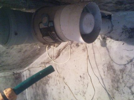 Ventilateur dans le hangar à animaux