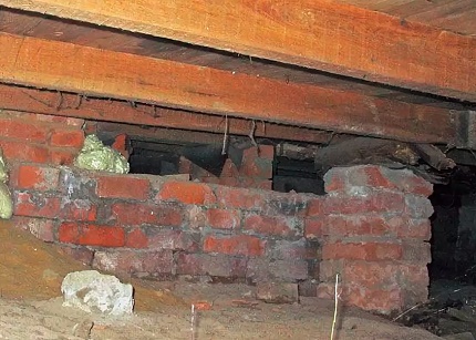 L'apparition de champignons sur les structures des bâtiments