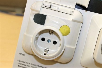 Prise à puce avec RCD