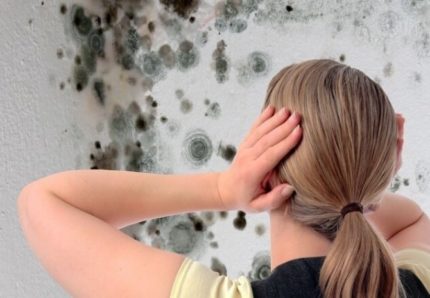 Moisissure sur les murs Moisissure sur les murs