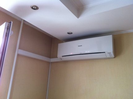 Spur in einer Plastikbox