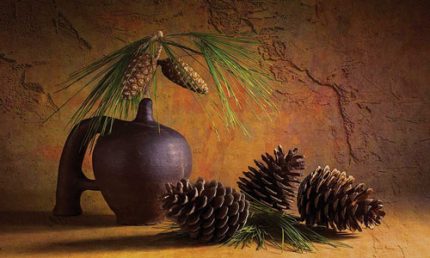 Bump em vez de um higrômetro