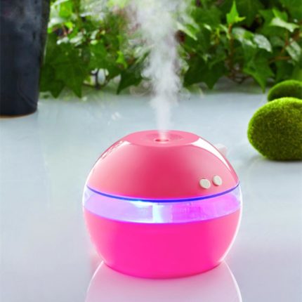 Humidificateur à vapeur
